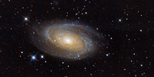 MESSIER 81